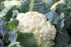 Cauliflowers Nutrition Facts