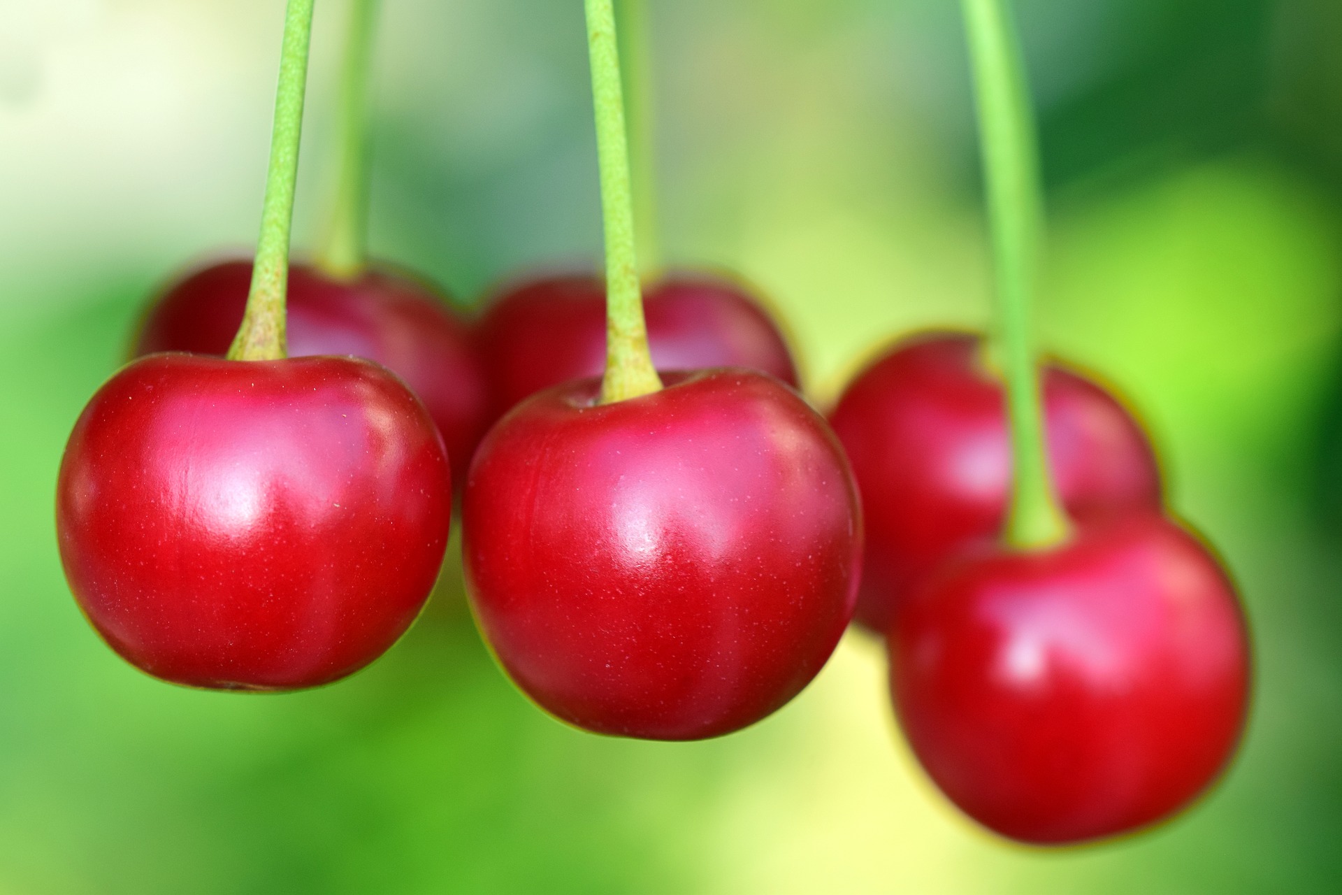 5 Amazing Cherries Nutrition Facts - How Much Nutrients Does Cherries ...