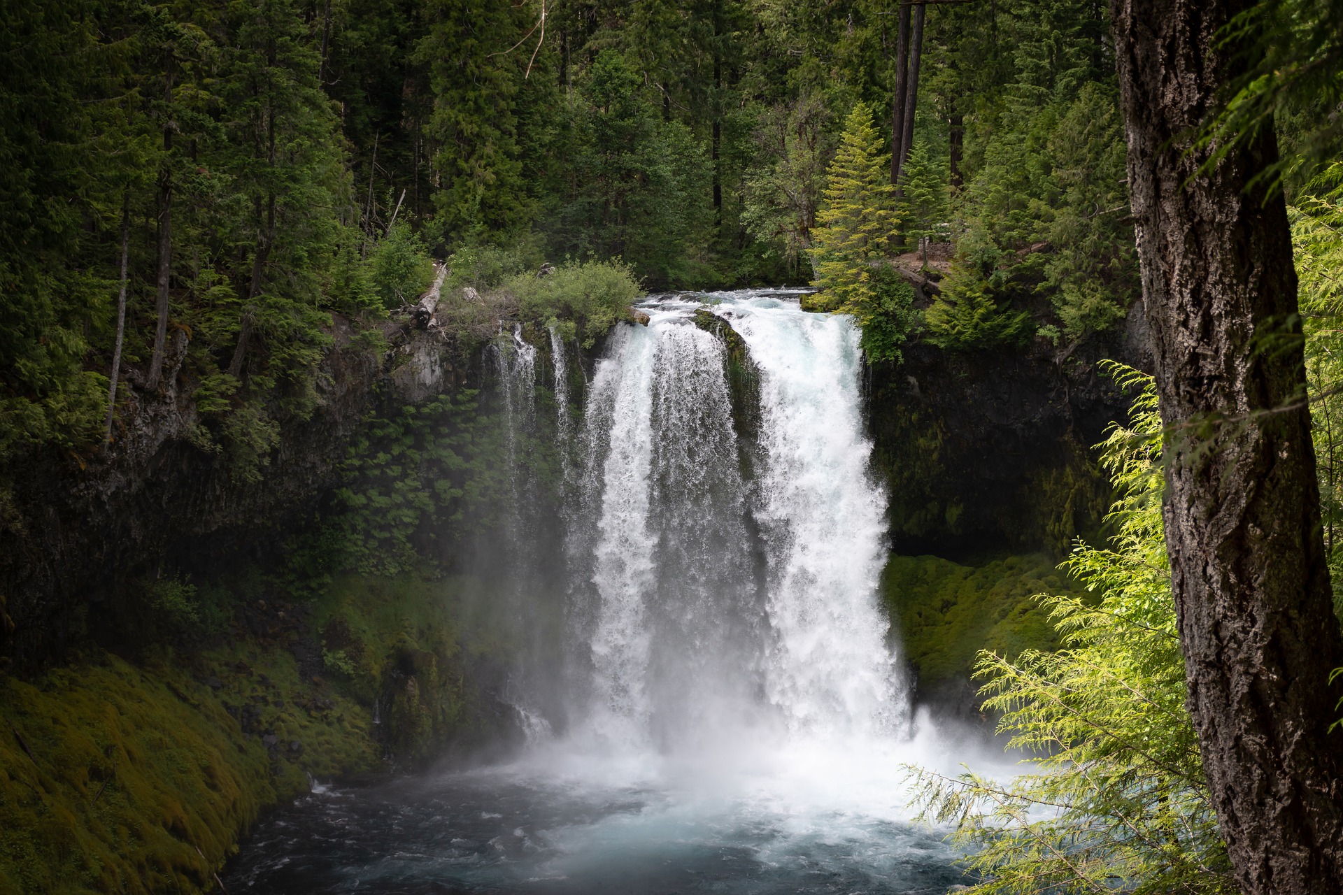 top-10-longest-rivers-in-the-world-factsking