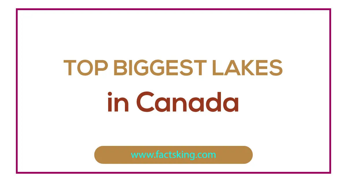 Top 10 Biggest Lakes In Canada - Factsking.com