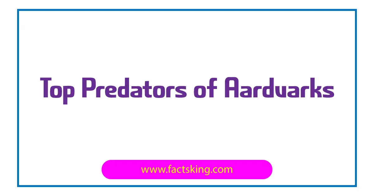 Top 5 Predators of Aardvarks that Eat Aardvark - FactsKing.com