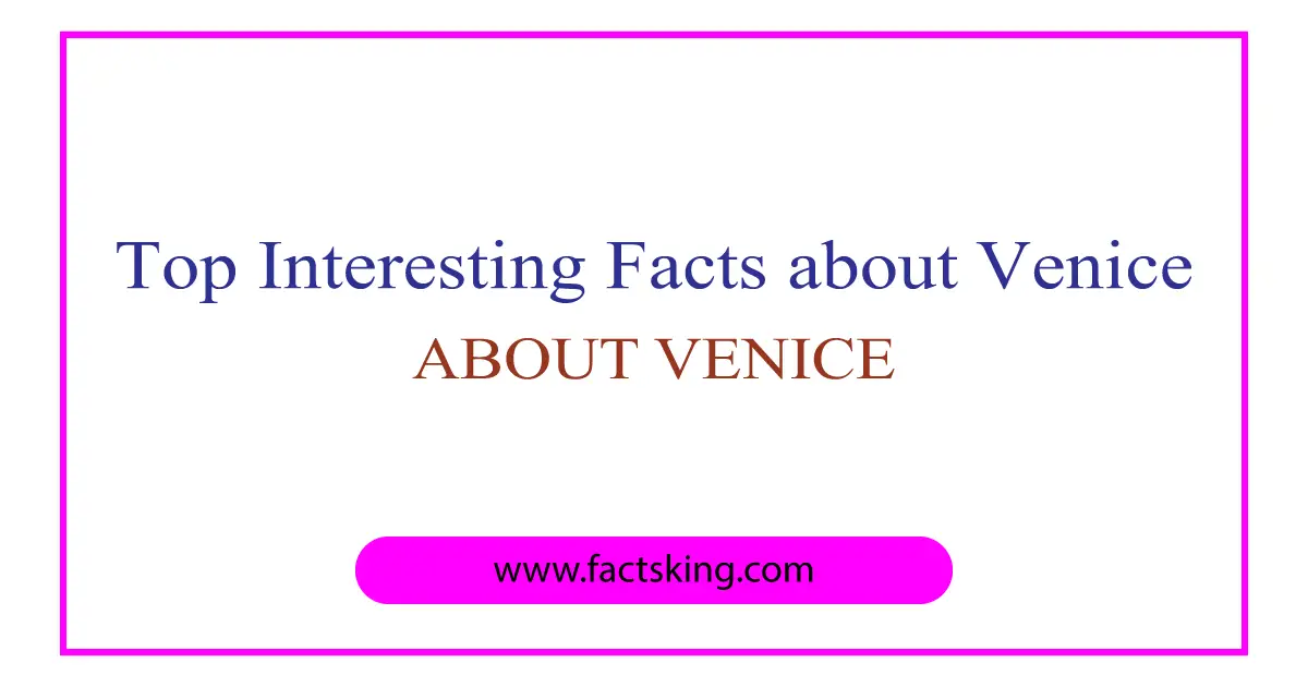 the city of venice facts